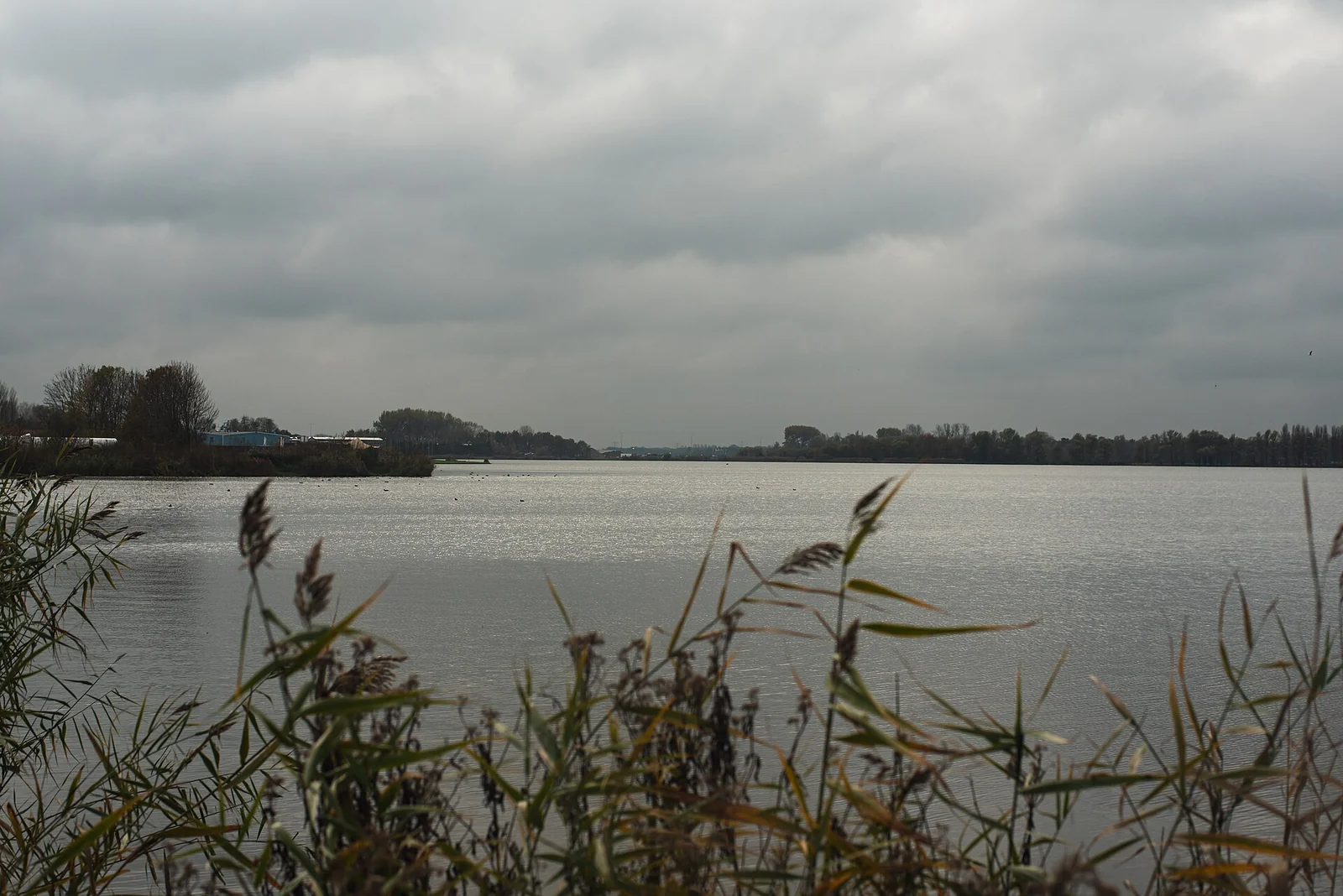 Het Valkenburgse Meer bij Katwijk in 2021; omgeving van het geplande project, geen foto van de fabriek.