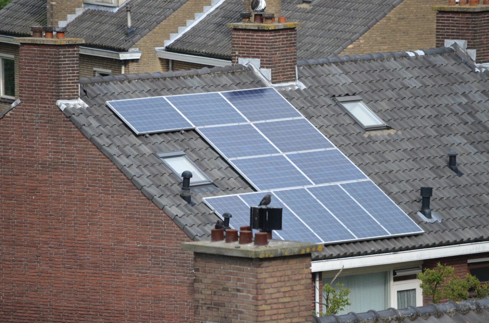 Zonnepanelen op het schuine pannendak van een woning.